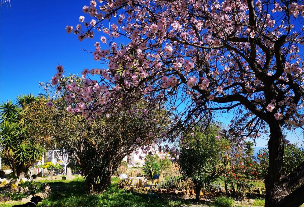 Finca Dulce Maikel Granadilla De Abona Eksteriør billede