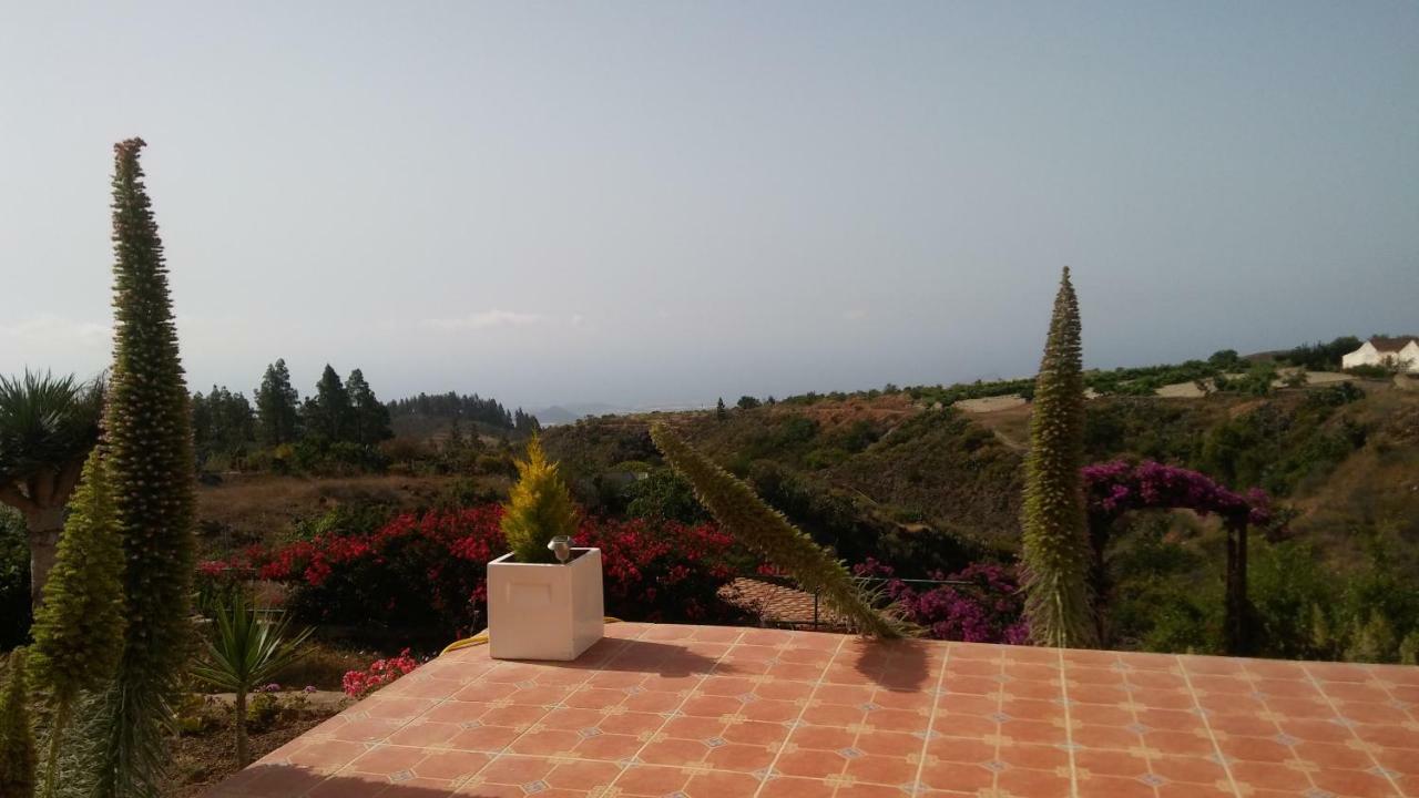 Finca Dulce Maikel Granadilla De Abona Eksteriør billede