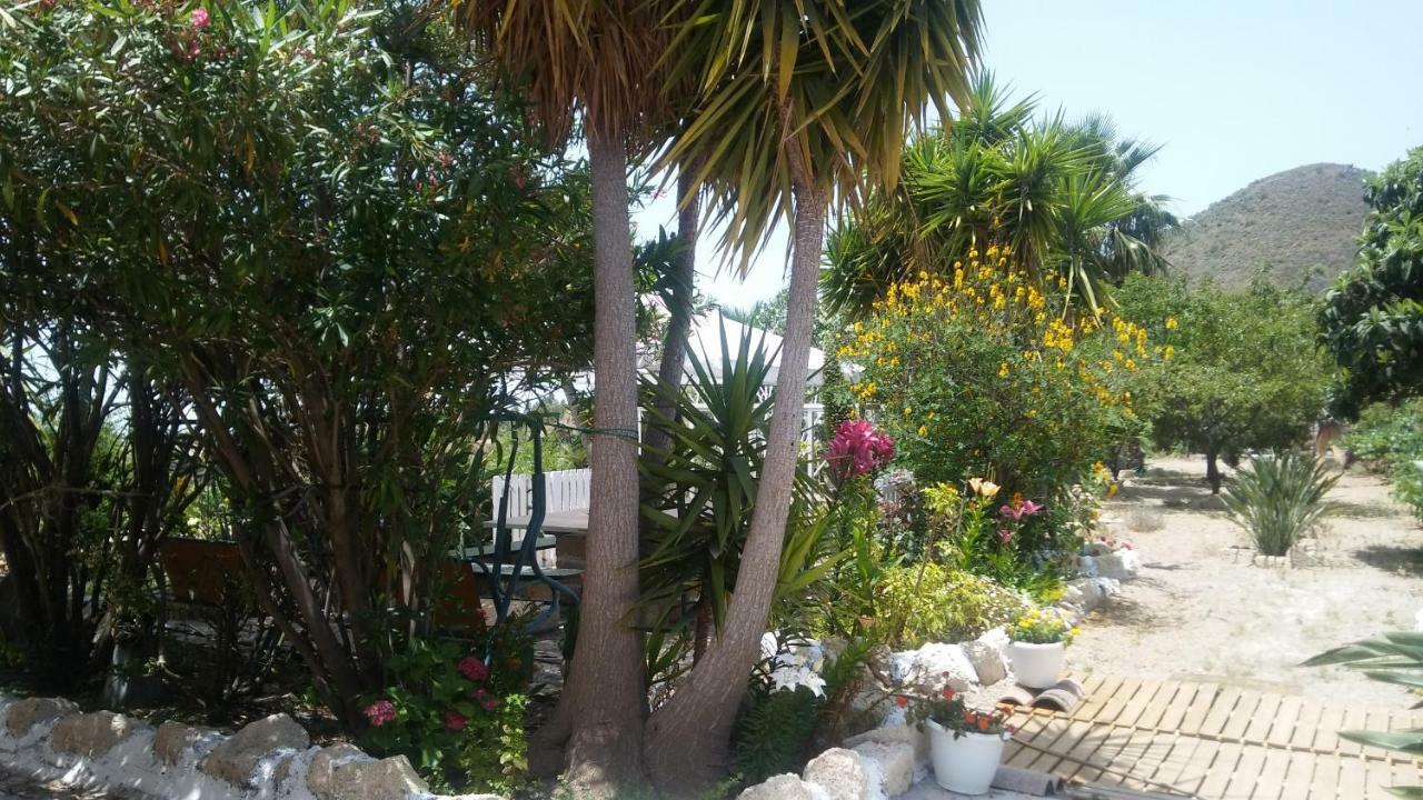 Finca Dulce Maikel Granadilla De Abona Eksteriør billede